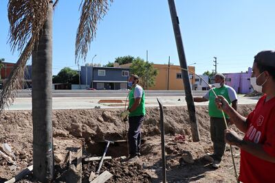Ensenada: puesta en valor de espacios públicos