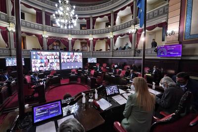 El Senado autorizó a la Provincia a comprar vacunas contra el coronavirus