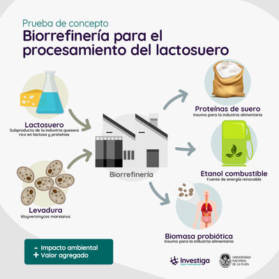 Biotecnología: Logran transformar los desechos de la industria quesera en productos de mayor valor