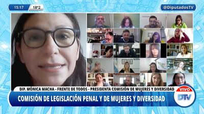 Diputados: avanza un proyecto que incorpora la perspectiva de género a la legitima defensa