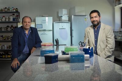 UNLP: Avanzan en el desarrollo de la vacuna Argenvac221 contra el SARS-CoV-2