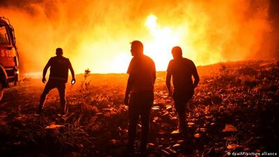 Ola de calor en Europa provoca graves incendios