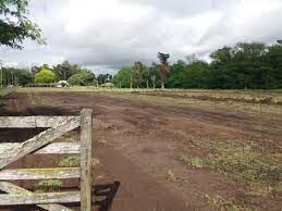 Inicia la construcción del parque Solar 