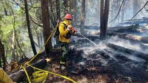 El incendio en cercanías al Lago Steffen, avanza hacia el Lago Martin