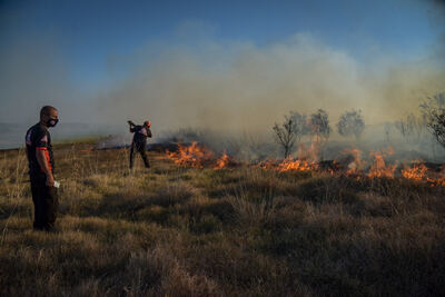 Mar del Plata: Hay probabilidades extremas de incendios para los próximos días