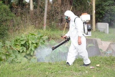 25 de Mayo: Realizan tareas de fumigación para combatir al Dengue