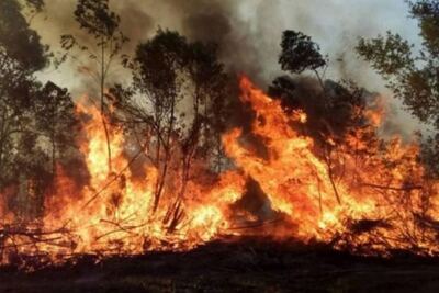 La Plata: El humo por los incendios en Corrientes podría llegar a la ciudad