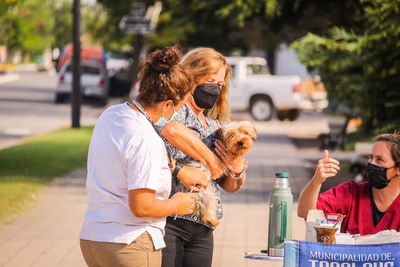 Tapalqué: Llega una nueva jornada de vacunación antirrábica a Crotto