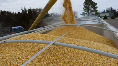 Las exportaciones del agro cayeron 50% en el año debido al impacto de la sequía