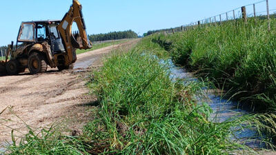 Necochea: El EMSUR continúa con trabajos de mejora y mantenimiento en los caminos rurales