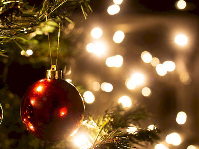Berisso: Se realizará el encendido del Árbol Navideño