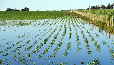 Nación transfirió 1.046 millones de pesos a municipios bonaerenses afectados por las inundaciones