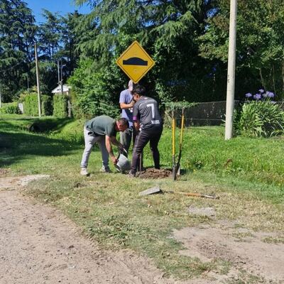 Ayacucho: Se instalaron indicadores y señales viales en zonas rurales