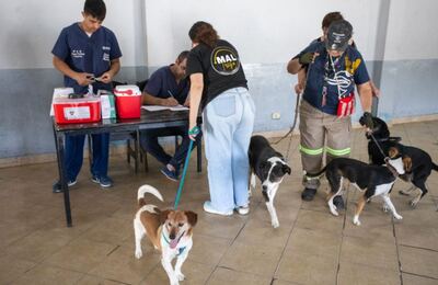 Berazategui: Continúan los servicios de salud animal gratuitos en los barrios