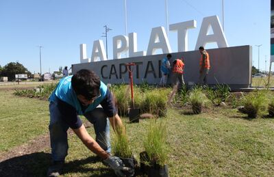 La Plata: Renuevan la forestación de la rambla de avenida 44