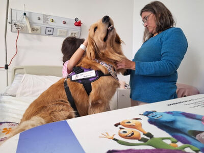 La Plata: Los perros que traen juego y ternura al Hospital de Niños