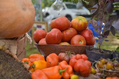 La Plata: Se viene una nueva edición de la Fiesta del Tomate Platense
