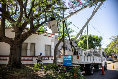 Almirante Brown: Profundizan los operativos de despeje de luminarias en barrios