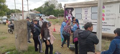 Necochea: Este sábado la jornada gratuita de castración masiva llega a Quequén