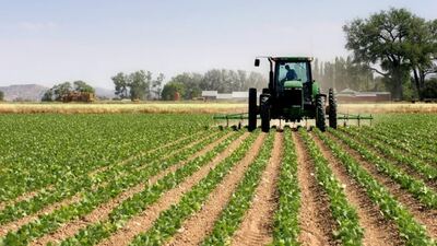 La economía bonaerense creció 2,6% en 2025 impulsada por el comercio y el agro