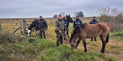 La Costa: Se entregaron caballos al Centro de Rescate y Rehabilitación Equina
