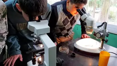 Mar del Plata: El Programa PREVENIR estará en el Instituto Inmaculada Concepción