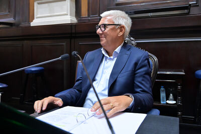 DIPUTADOS APROBÓ LA PERPETUIDAD DE BENEFICIOS IMPOSITIVOS PARA EL ÁREA PATAGÓNICA BONAERENSE