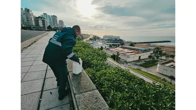 Mar del Plata: El EMSUR refuerza el control de roedores y plagas en la zona costera