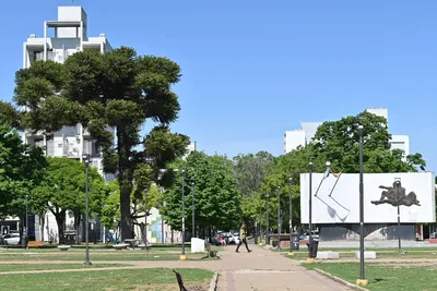 La Plata: Por obras de pavimentación, habrá cortes de tránsito en el perímetro de Plaza España