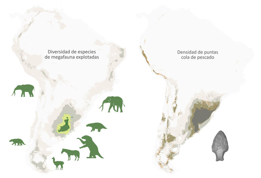Científicos aseguran que la depredación humana habría causado la extinción de la megafauna Sudamericana del Pleistoceno