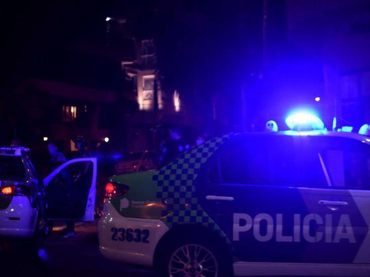 Mar del Plata: Apuñaló al pitbull de su vecina porque había atacado a su mascota