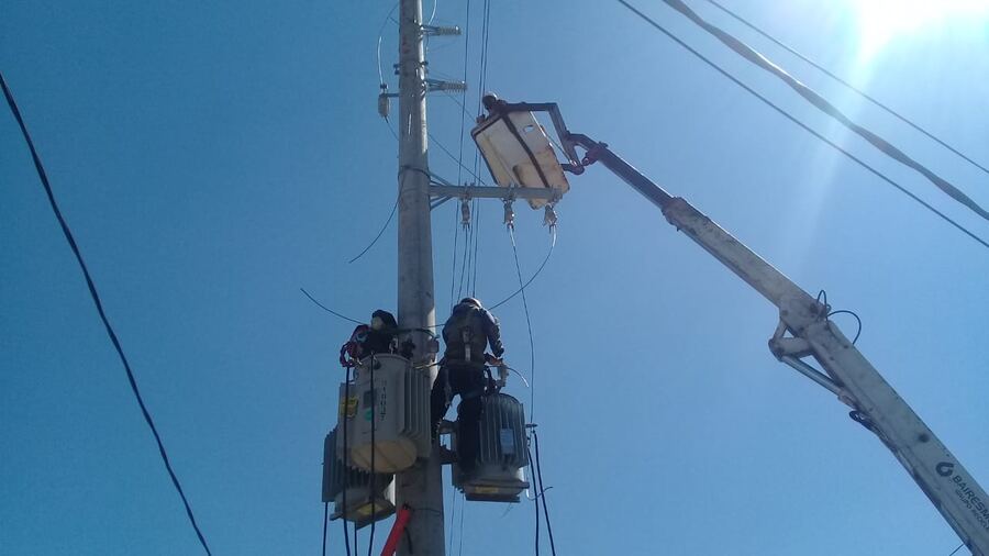 Edelap realizó obras en las redes de Olmos San Carlos y Tolosa