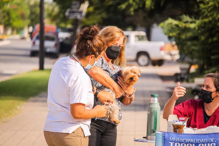 Tapalqué: Llega una nueva jornada de vacunación antirrábica a Crotto