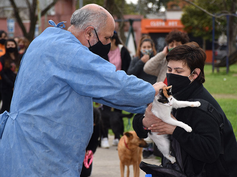 Berisso: La campaña de vacunación antirrábica llega esta semana al barrio Santa Teresita
