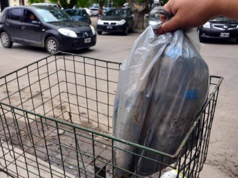 Berisso: Así funcionará la recolección de residuos durante el próximo feriado