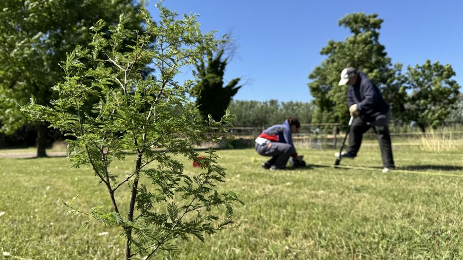 Olavarria: Se realizó una Plantación Forestal en el Parque Municipal La Isla