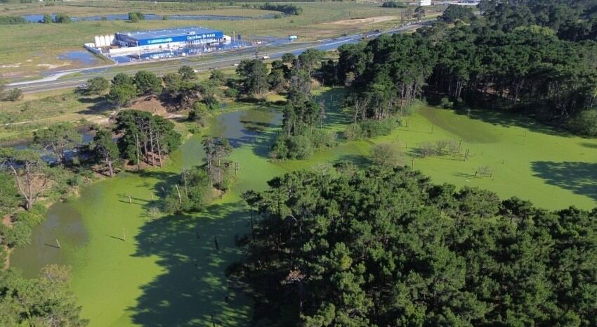 Madariaga: Hubo un desborde de efluentes cloacales desde Pinamar