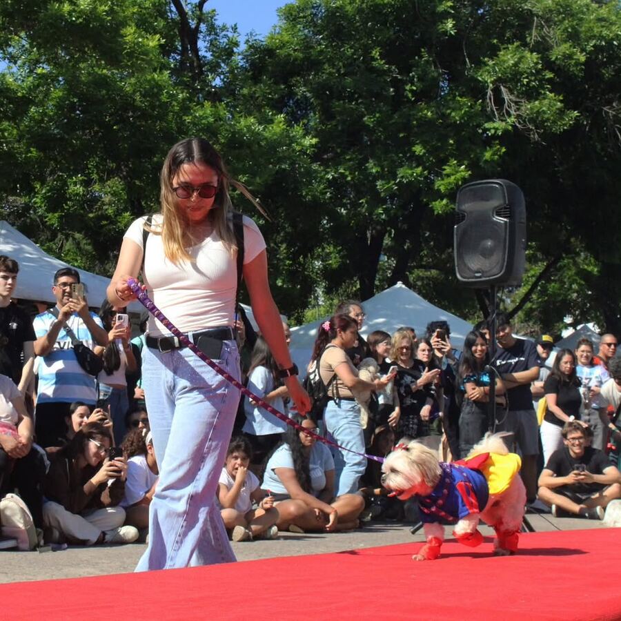La Plata: La ciudad será escenario del Gran Desfile de Mascotas