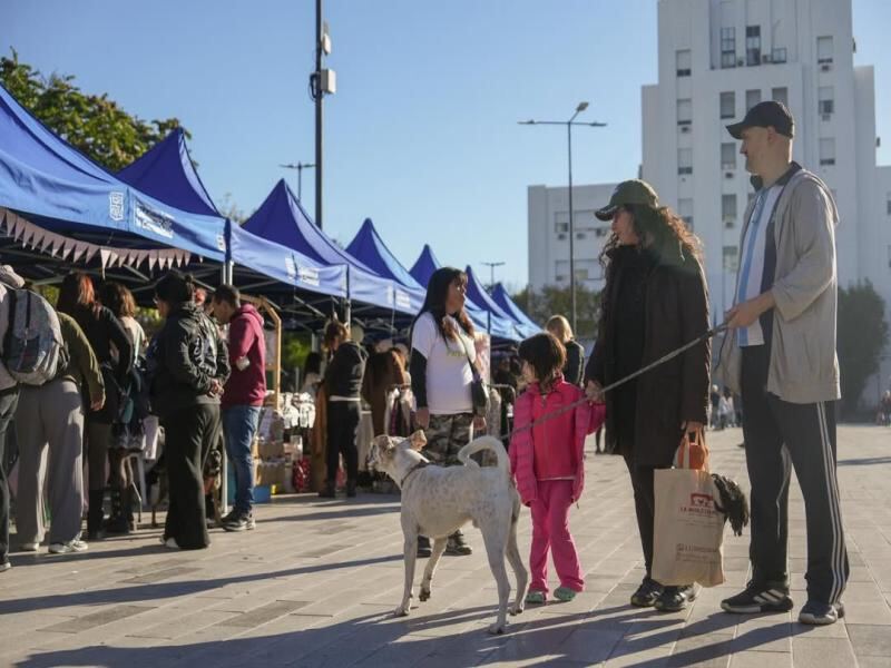 Lomas de Zamora: Se realizó un encuentro por los animales en Plaza Grigera