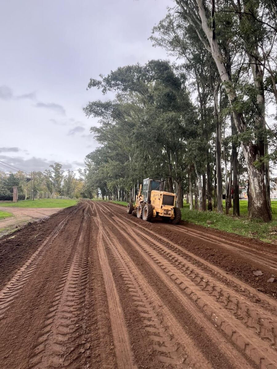 9 de Julio: Avanza la reconstrucción de la colectora de Ruta 5