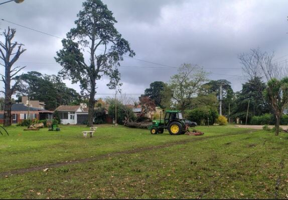 Mar del Plata: La Comuna reparó más de 100 cuadras en el Puerto y zona Sur