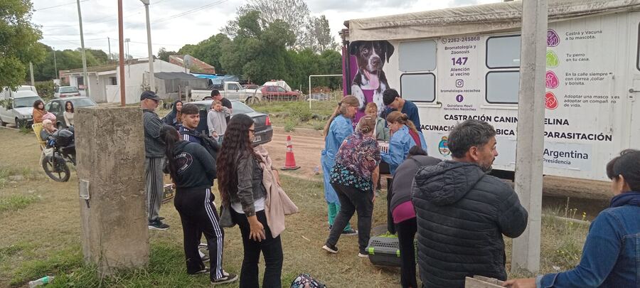 Necochea: Este sábado la jornada gratuita de castración masiva llega a Quequén