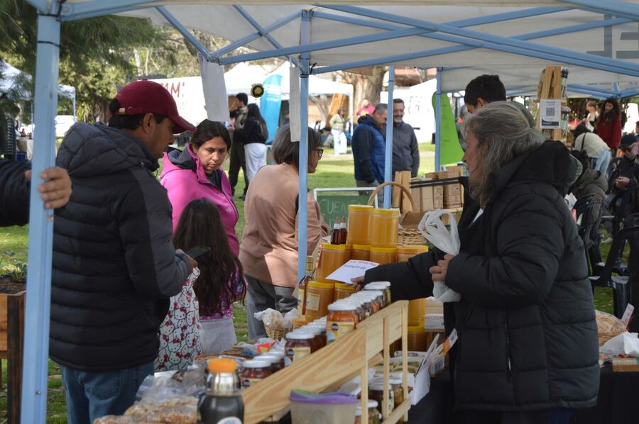 La Plata: Villa Elisa recibe una nueva edición de la Feria Agroecológica Municipal Itinerante