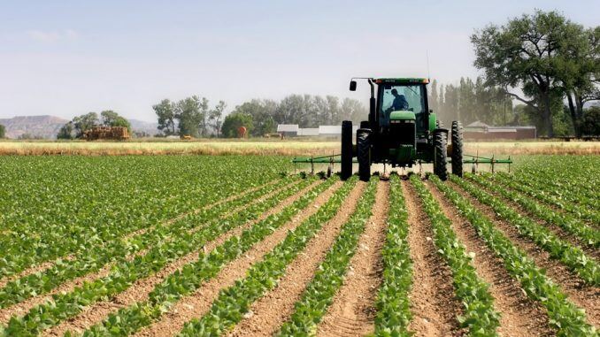 La economía bonaerense creció 2,6% en 2025 impulsada por el comercio y el agro
