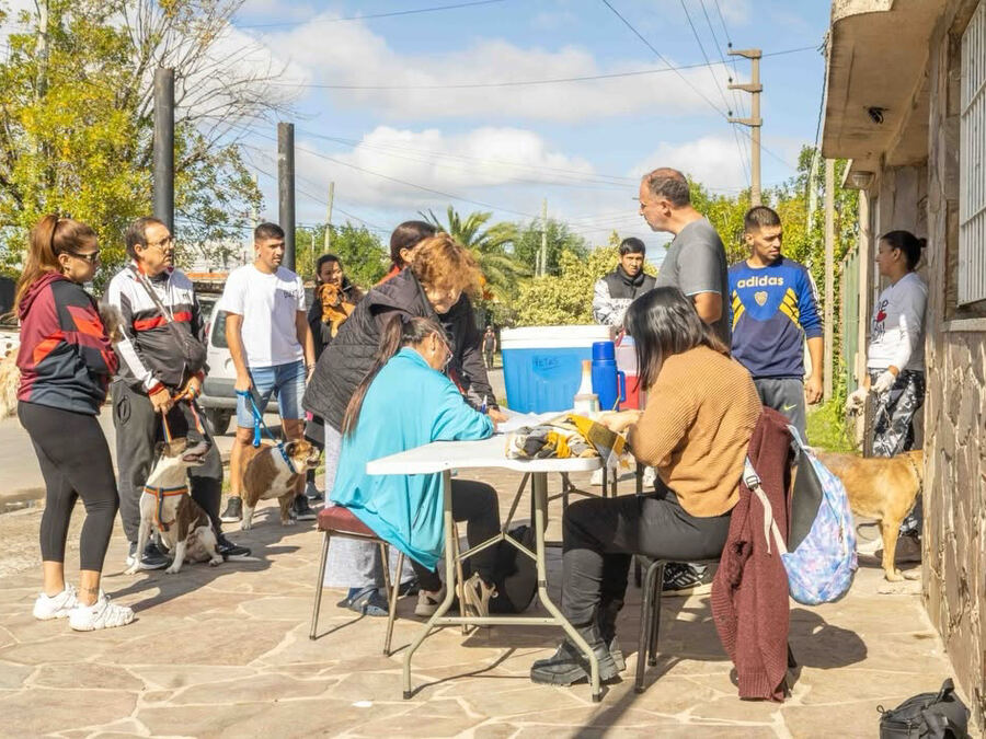 Berisso: Durante el mes de agosto continúan las jornadas Veterinarias