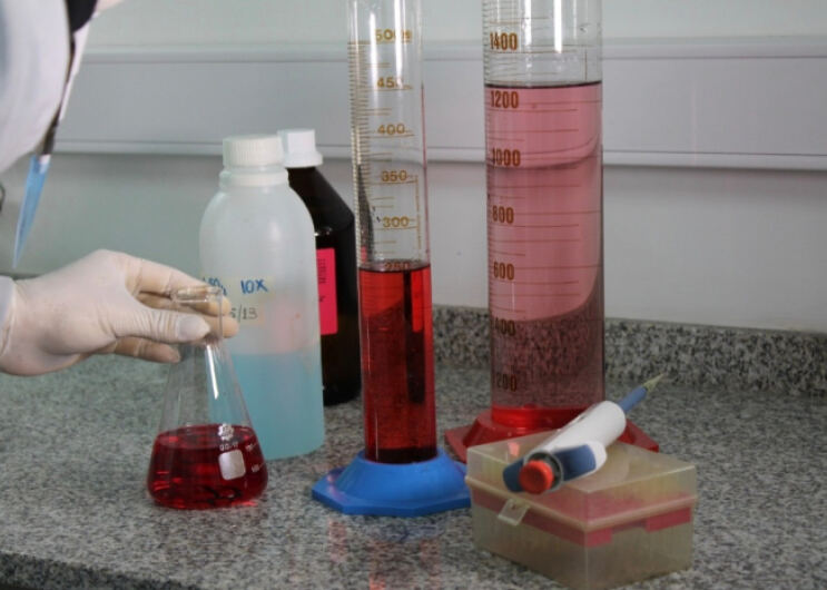 La Provincia financiará redes federales de investigación con universidades