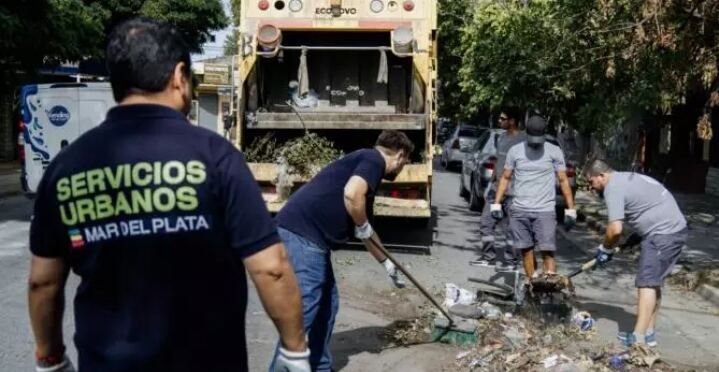 Mar del Plata: EMSUR alcanzó un 71,4% de respuesta en la resolución de reclamos por microbasurales y restos de poda
