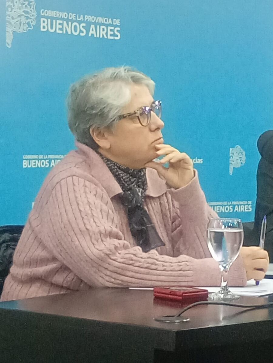 Directora de Escuelas, Flavia Terigi