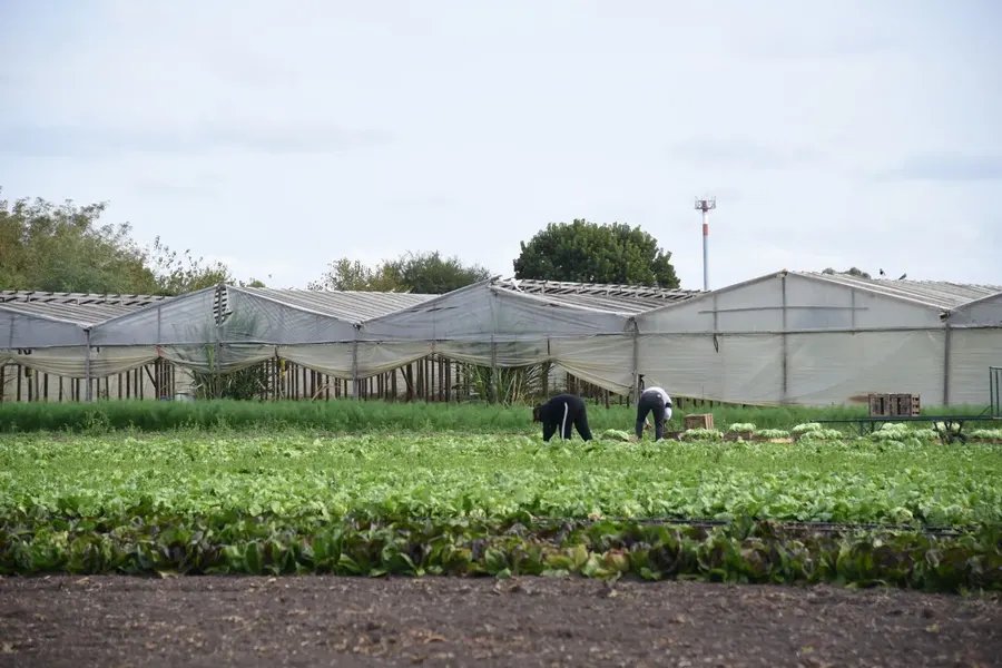 La Provincia realizará un Censo Hortiflorícola después de 20 años