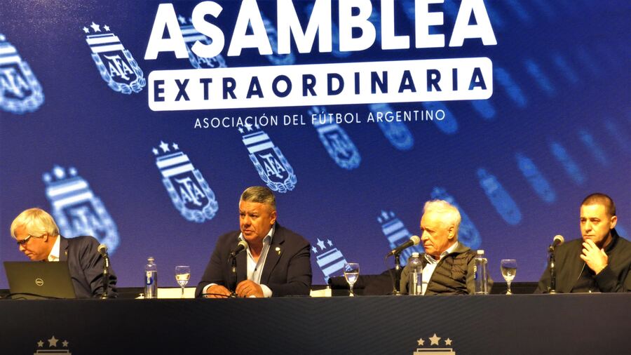 La AFA eliminó uno de los descensos de la Liga Profesional
